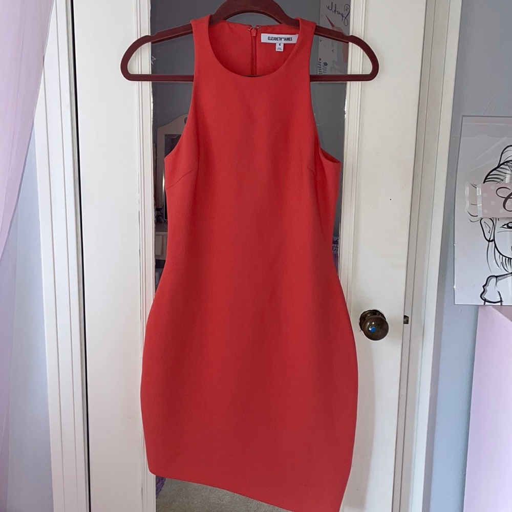 Elizabeth and James Dress